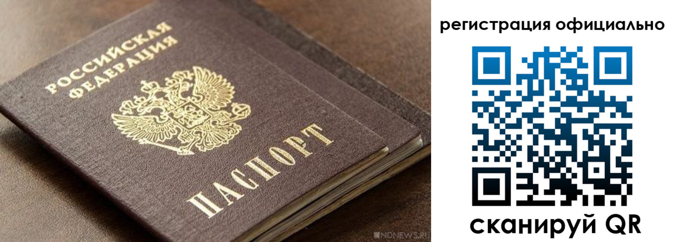 прописка гарантия в Сальске